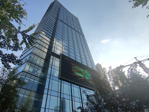 建筑幕墻貼膜規(guī)范技術方案